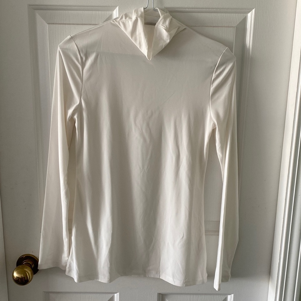 Nordstrom / halogen turtleneck. Polyester silky feel. Size small. Never worn.
